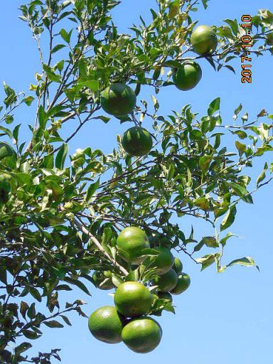 �|���J��