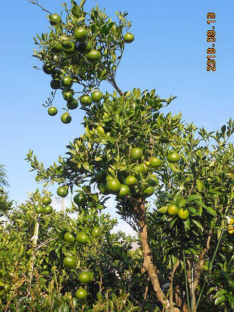 �|���J��