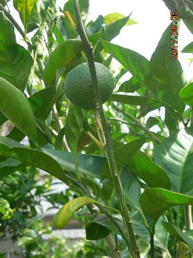 ���k�ނ̐ږ�