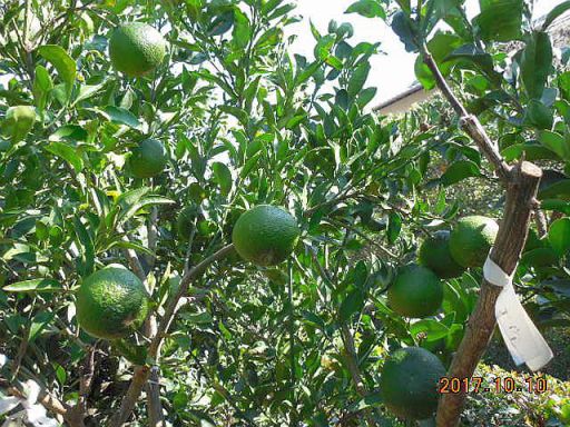 ���k�ނ̐ږ�