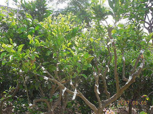 ���k�ނ̐ږ�