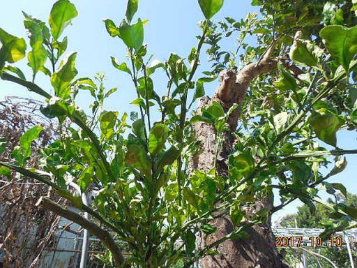 ���k�ނ̐ږ�