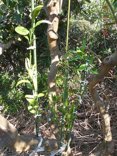 ���k�ނ̐ږ�