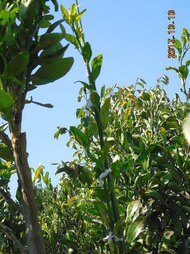 ���k�ނ̐ږ�