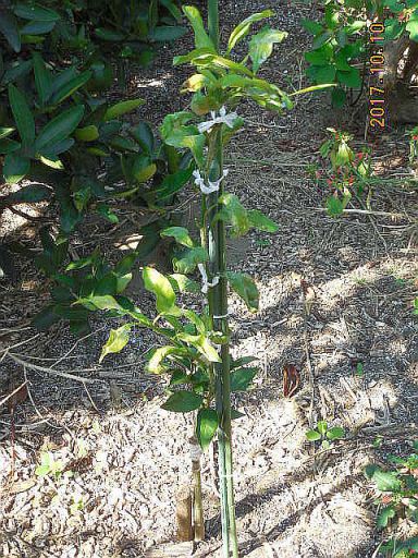 ���k�ނ̐ږ�