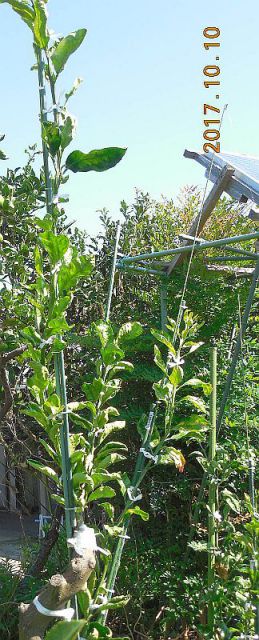 ���k�ނ̐ږ�