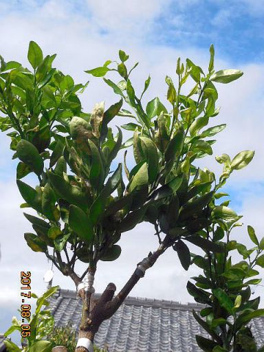 ���k�ނ̐ږ�