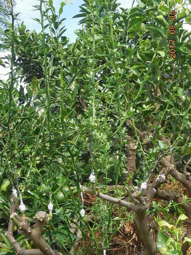 ���k�ނ̐ږ�