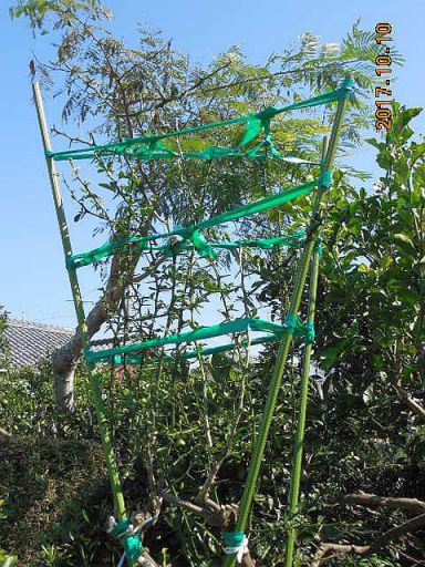 ���k�ނ̐ږ�